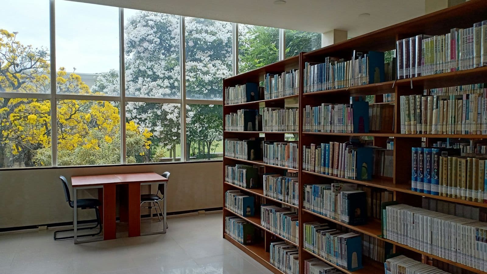 Ett ljust bibliotek med bokhyllor och stora fönster